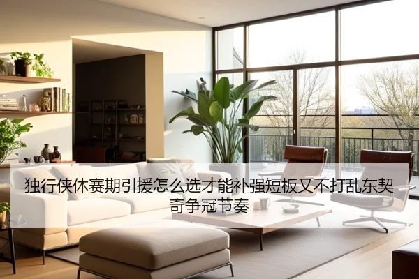独行侠休赛期引援怎么选才能补强短板又不打乱东契奇争冠节奏 - xingkongtiyu
